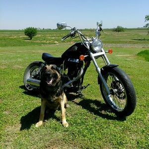 Meet your Posher, Jerry